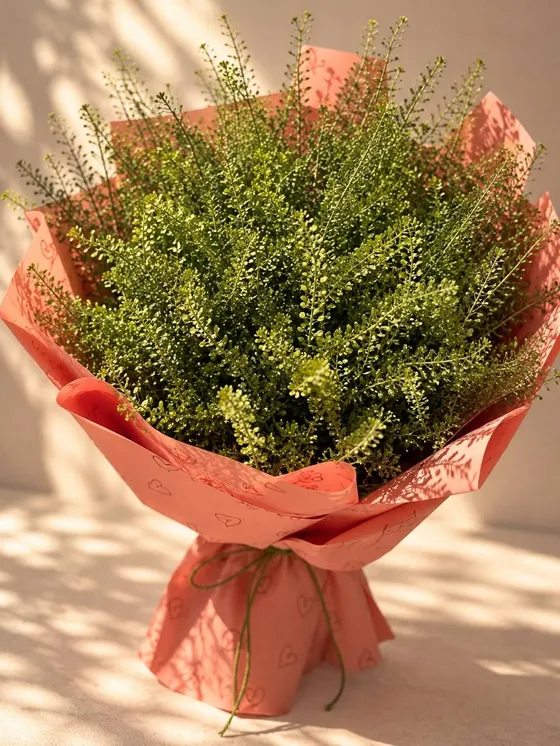 A fluffy all-green bouquet wrapped in coral paper printed with little hearts, tied with green twine